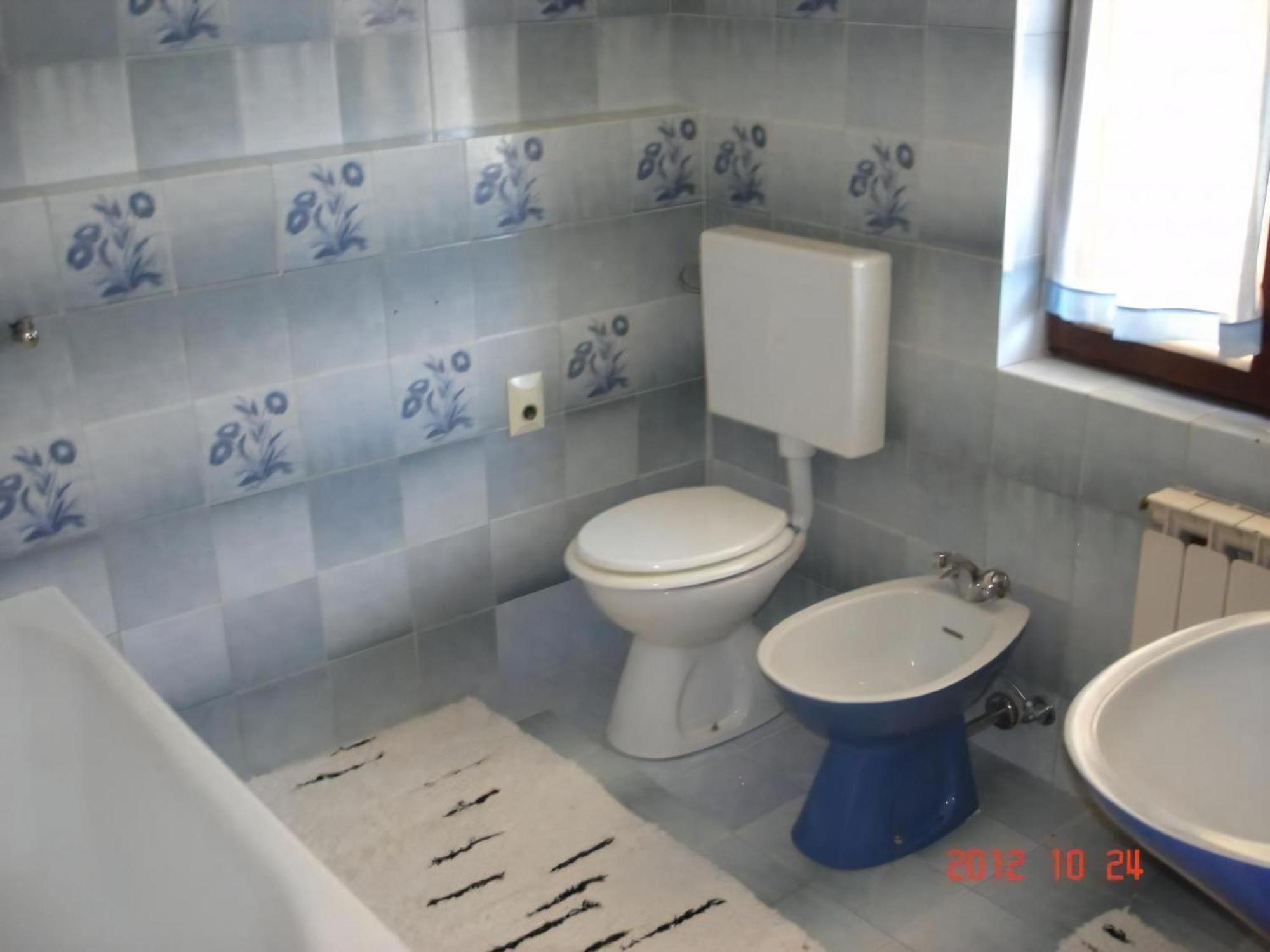 Apartment Klimic *